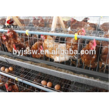 Ferme de volaille d'oeufs de poulet / cage de couche de poulet / cages de batterie de poulet pour des poules